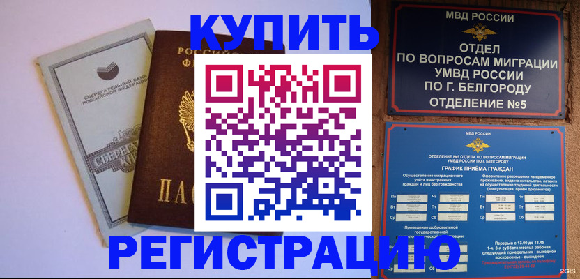 прописка гарантия в Светогорске